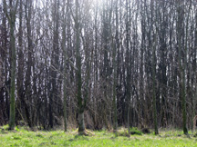 14IMG_7897