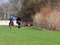 18IMG_7939