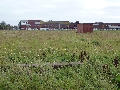 foto Delfzijl noord braak