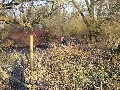 CAM01118