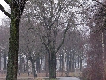 04IMG_7296