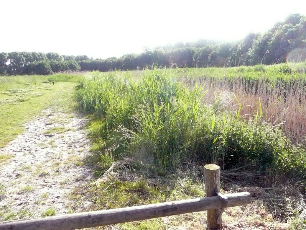 P1070528