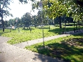 P1060674