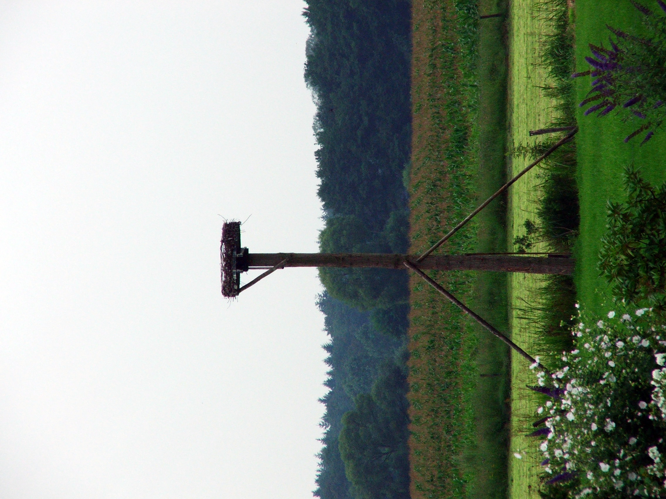 044ooievaarsnest