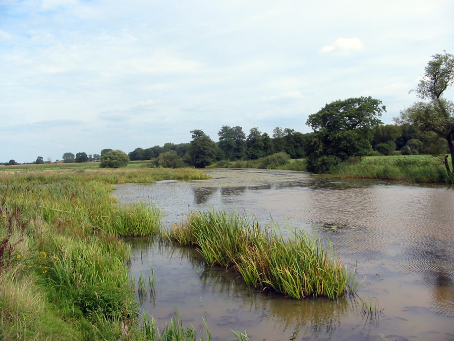 oude vecht_09
