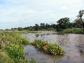 oude vecht_09