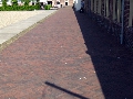 IMG_0937